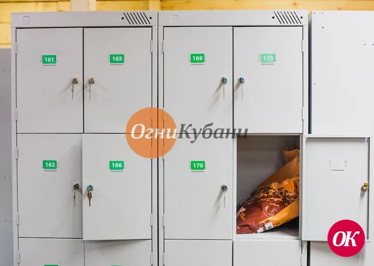 Ранее судимая женщина в магазине украла пакет из ячейки для ручной клади