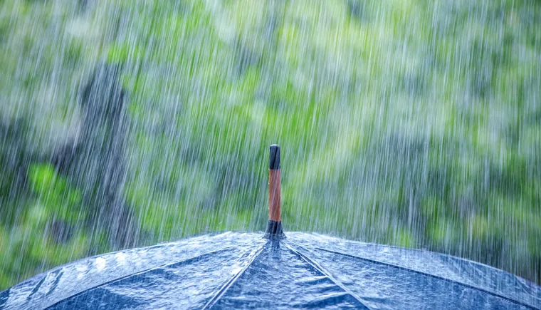 https://ognikubani.ru/wp-content/uploads/2020/07/Nature___Other_Rain_on_a_black_umbrella_107206_