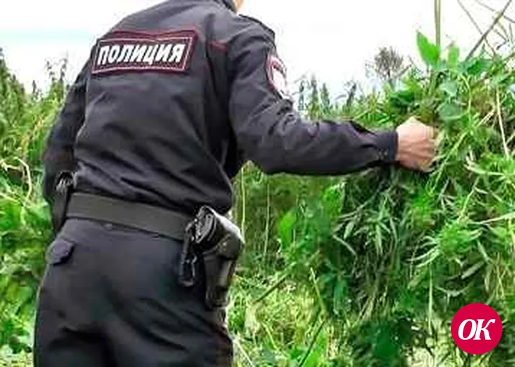 В Кавказском районе идет третий этап межведомственной комплексной операции «Мак-2020», который завершится 29 июля