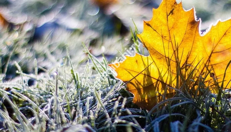 https://ognikubani.ru/wp-content/uploads/2019/10/do_minus_2_gradusov_pokholodaet_v_chelyabinskoy_oblasti_