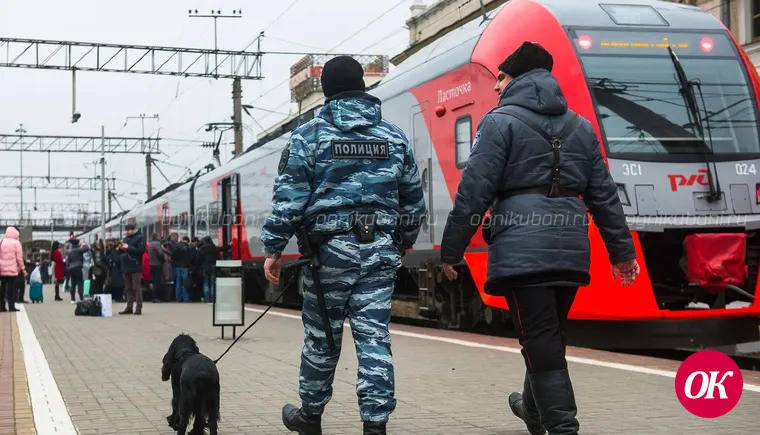В Армавире сотрудники транспортной полиции изъяли из незаконного оборота марихуану в крупном размере