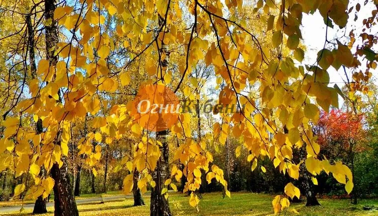 https://ognikubani.ru/wp-content/uploads/2019/09/7355c7578613a9e788a920a27e9a76f6
