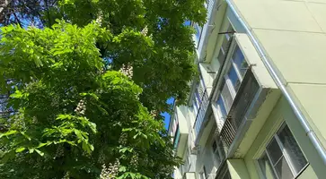 https://ognikubani.ru/wp-content/uploads/2023/05/photo_5397934453055146167_y