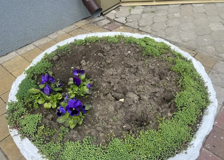 2a936138-c578-420f-99af-3f340b5539c1