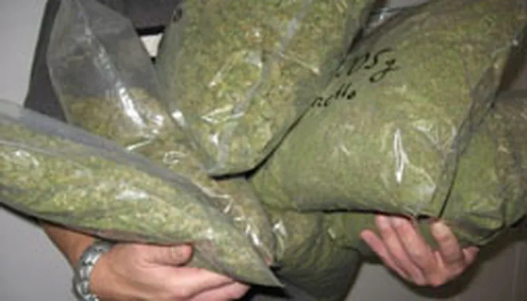 http://www.ognikuban.tw1.ru/wp-content/uploads/2017/10/marihuana333777