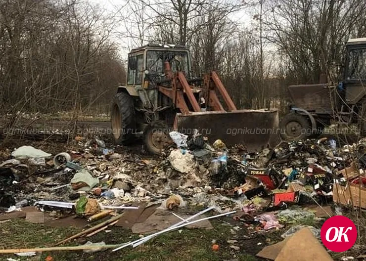 Мусор в голове