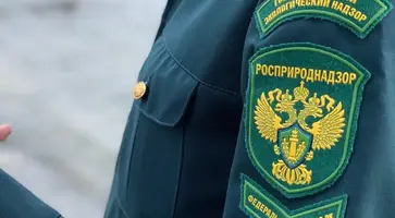 https://ognikubani.ru/wp-content/uploads/2023/07/pkku-3