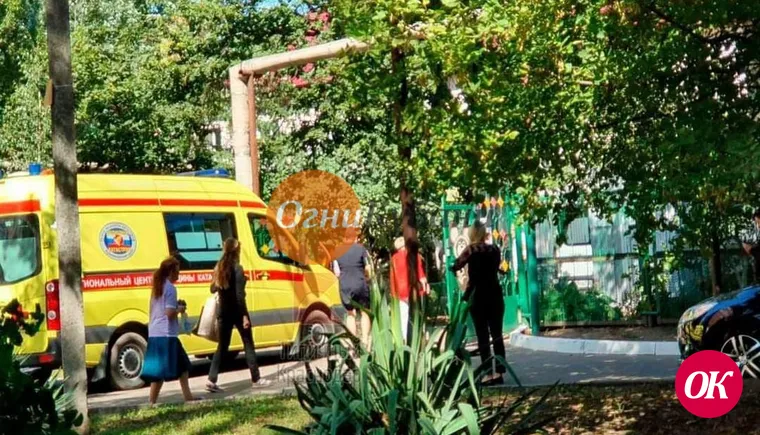 В Краснодаре умер ребенок, на которого в детском саду упало дерево
