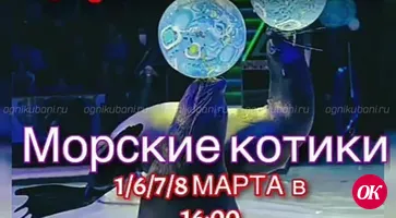 Впервые в городе Кропоткине Цирк Шапито с умопомрачительным шоу морских котиков и других экзотических животных!