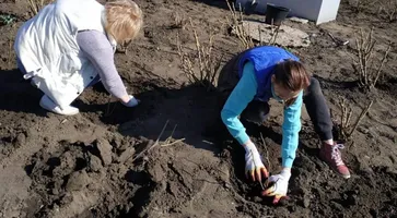 https://ognikubani.ru/wp-content/uploads/2020/03/WhatsApp-Image-2020-03-16-at-14.59.04