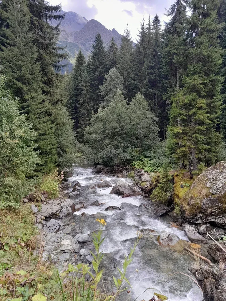 Бурные горные речки и нетронутая природа вокруг, это не забывается.