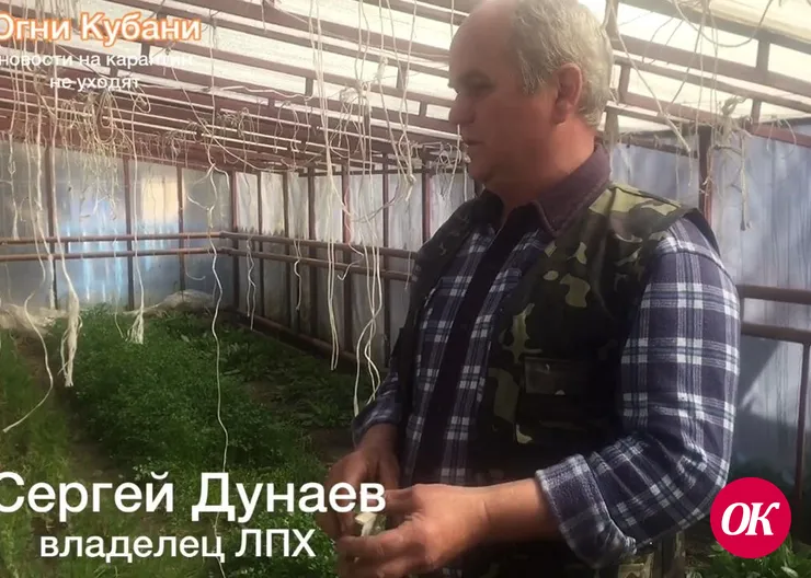 Производителям сельхозпродукции пришлось поменять планы из-за карантина