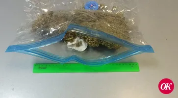 В Краснодарском крае транспортные полицейские изъяли из незаконного оборота марихуану
