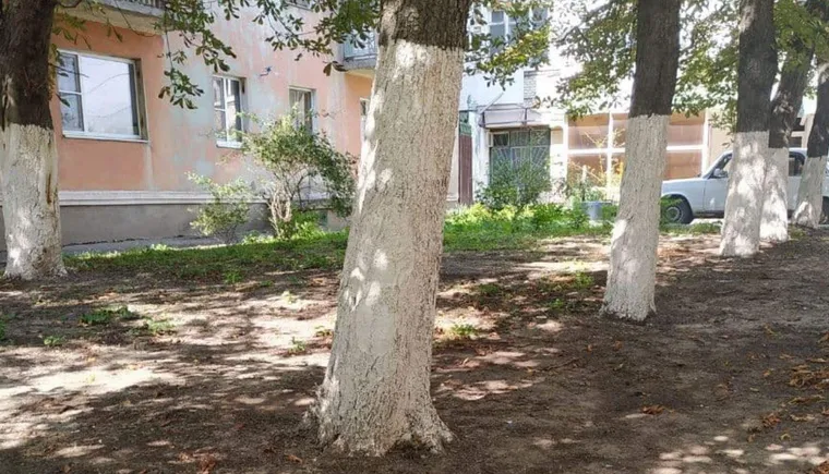https://ognikubani.ru/wp-content/uploads/2021/09/ognikubani.ru-8-14