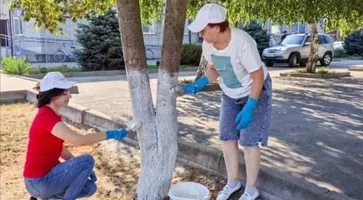 Новый учебный год решили начать с порядка