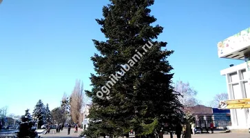 https://ognikubani.ru/wp-content/uploads/2019/12/WhatsApp-Image-2019-12-06-at-14.25.50-2