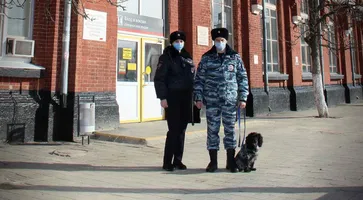 https://ognikubani.ru/wp-content/uploads/2021/02/ognikubani.ru-14