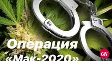 В Кавказском районе проводится 5 этап операции «Мак-2020»