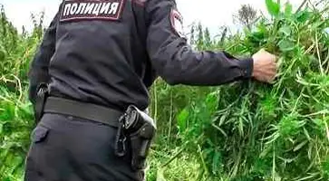 https://ognikubani.ru/wp-content/uploads/2020/07/мак-3