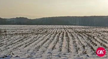 Фермеры уходят в отпуск