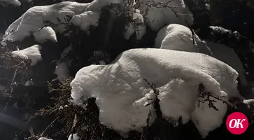 На Кубани установились рекордные морозы. С чем это связано? В Краснодарском крае продолжает царить настоящая зимняя сказка. В Сочи, к примеру, выпало более пяти годовых норм снега. Белый толстый слой покрыл пальмы и пляжи города-курорта, создавая непривыч