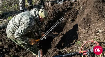 Поисковики Смоленщины нашли останки солдата Великой Отечественной войны Сидора Бутова из хутора Лосево