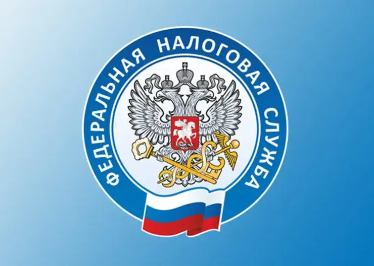 nalogovaya-sluzhba-8-696x464