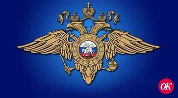 Жительница города поблагодарила полицейских за высокий профессионализм и добросовестное исполнение служебных обязанностей