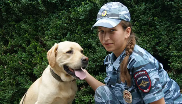 http://www.ognikuban.tw1.ru/wp-content/uploads/2015/06/DSC05622bbn