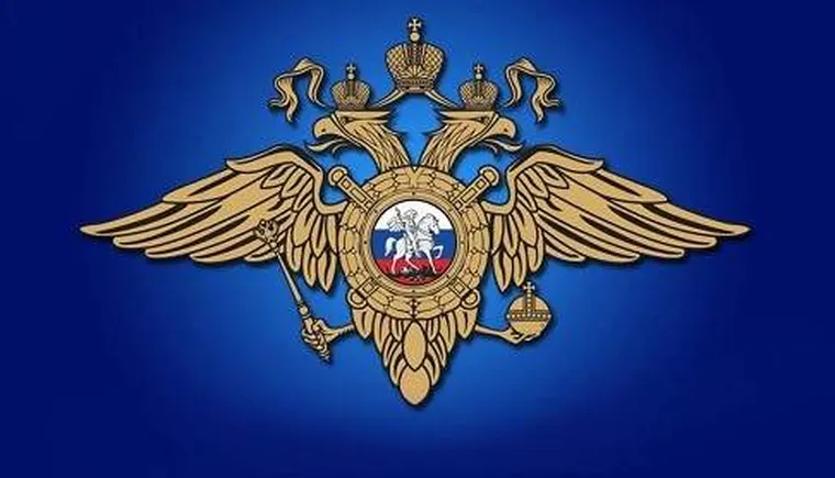 https://ognikubani.ru/wp-content/uploads/2021/05/герб-полиции-1