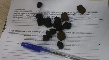 https://ognikubani.ru/wp-content/uploads/2021/08/ognikubani.ru_-15