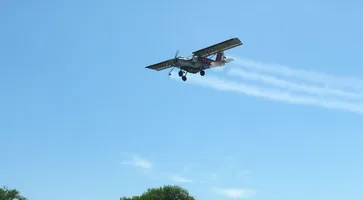 https://ognikubani.ru/wp-content/uploads/2022/07/комар_1