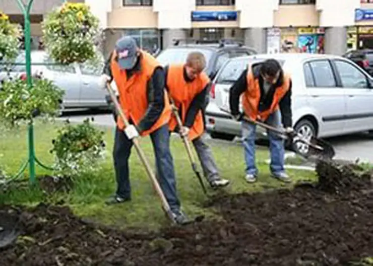 http://www.ognikuban.tw1.ru/wp-content/uploads/2016/05/trudozanyatost333i