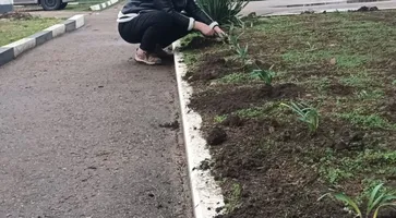 photo_5395504102861053473_y