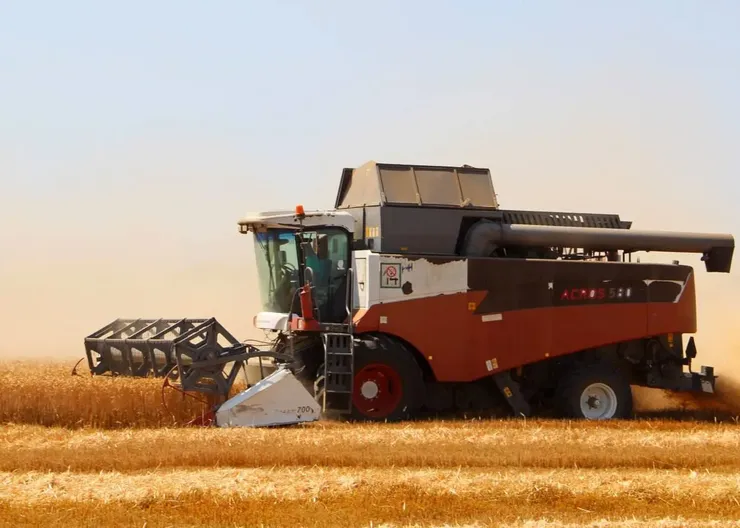 photo_2025-07-14_14-24-18