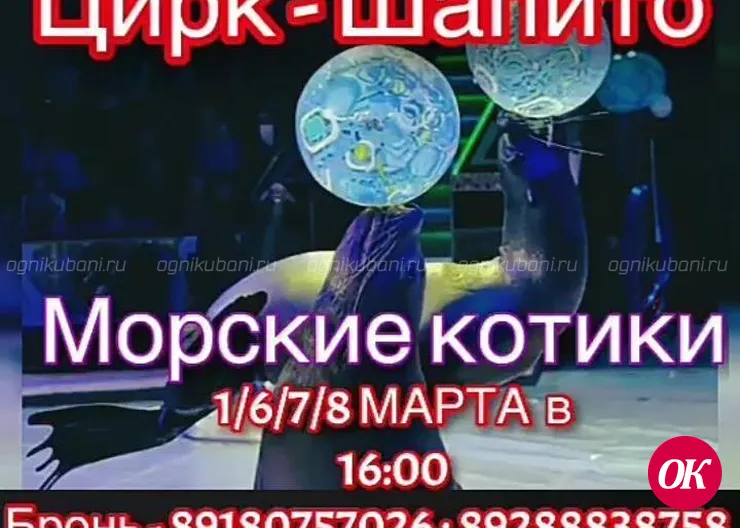 Впервые в городе Кропоткине Цирк Шапито с умопомрачительным шоу морских котиков и других экзотических животных!