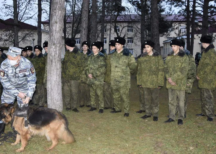 https://ognikubani.ru/wp-content/uploads/2021/11/ognikubani.ru-2-15