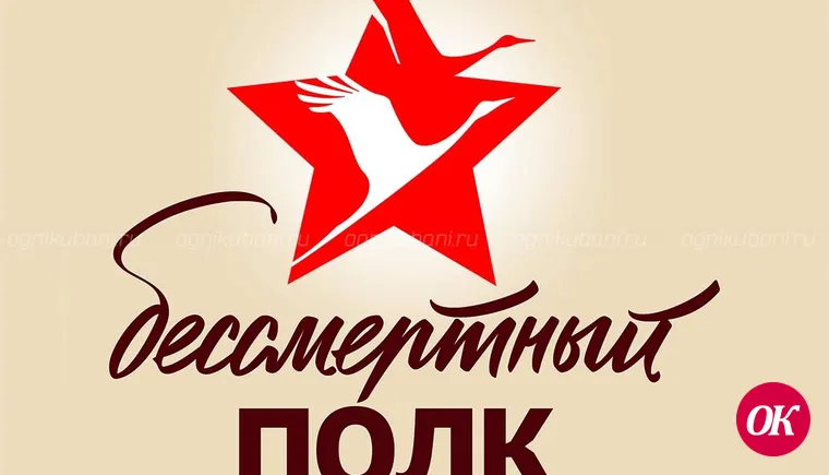 Краевой профсоюз работников образования готовит к выпуску электронную версию книги «Бессмертный полк»