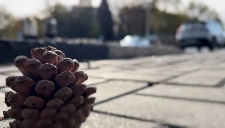 photo_2023-11-26_15-37-53