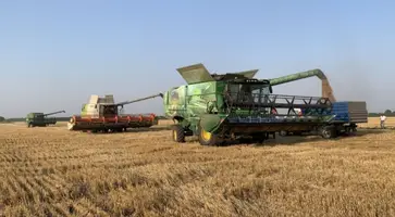 https://ognikubani.ru/wp-content/uploads/2021/12/ognikubani.ru-34