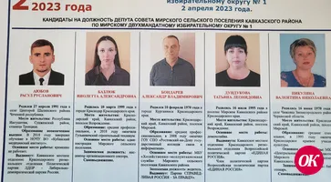Предварительные итоги допвыборов депутата Совета в пос.Мирском