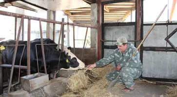 https://ognikubani.ru/wp-content/uploads/2020/08/IMG_2826