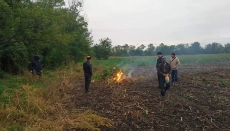 https://ognikubani.ru/wp-content/uploads/2021/10/ognikubani.ru_-5