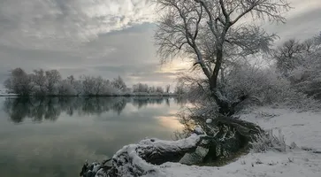 https://ognikubani.ru/wp-content/uploads/2021/02/df09e2534911e61b91fb6c3f60e09eeb