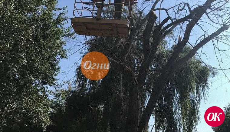 На улицах Кропоткина кронируют деревья