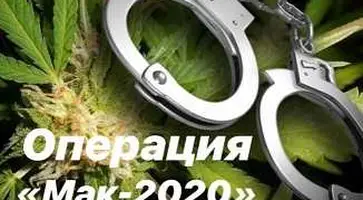 https://ognikubani.ru/wp-content/uploads/2020/09/операция-МАК-2020