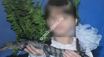 https://ognikubani.ru/wp-content/uploads/2019/11/72734120_190485241999157_5611677169719125784_n