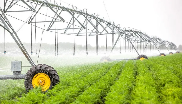 https://ognikubani.ru/wp-content/uploads/2020/05/agriculture_irrigation__300818_02-1024x684
