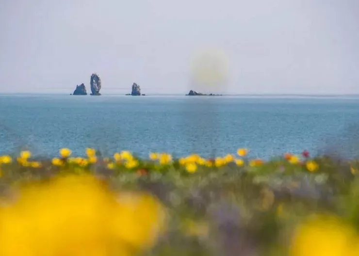https://ognikubani.ru/wp-content/uploads/2022/05/ognikubani.ru-2-2