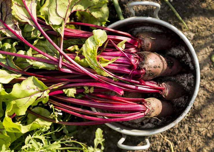 https://ognikubani.ru/wp-content/uploads/2023/03/top-view-vegetables-in-pot